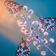 “Photonic Bliss V” / Highly Commended - Macro Art